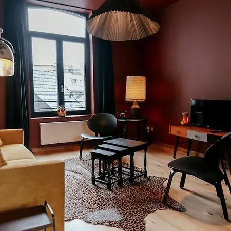 Le Retro Chic - Grand Duplex Pour 6 Dans Le Centre Apartment Liege Exterior photo